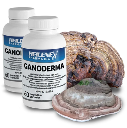 Heilene Ganoderma Applanatum Natural Health Product - Health Canada Licensed NPN 80122696