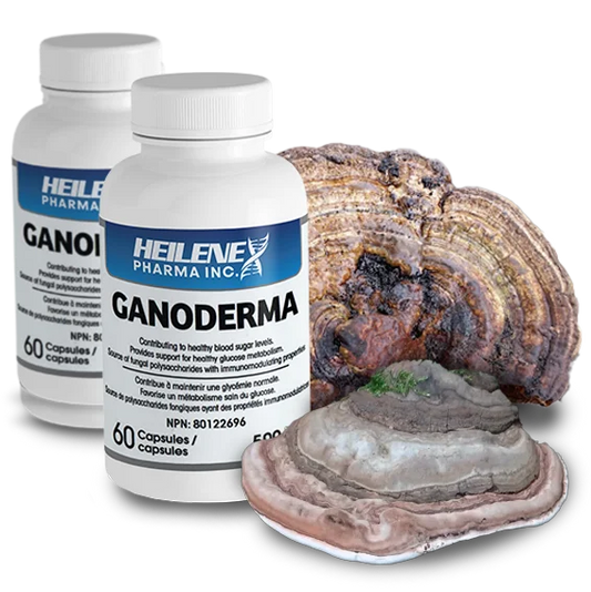 Heilene Ganoderma Applanatum Natural Health Product - Health Canada Licensed NPN 80122696