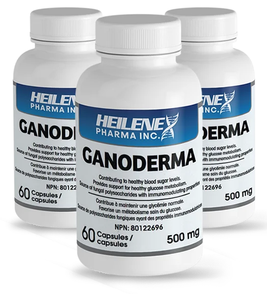 Heilene Premium Mushroom Extract Capsules - Blood Sugar and Immune Support
