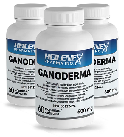Heilene Premium Mushroom Extract Capsules - Blood Sugar and Immune Support